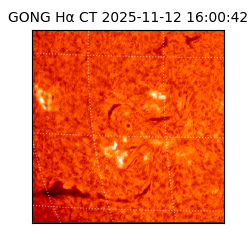 gong - 2025-11-12T16:00:42