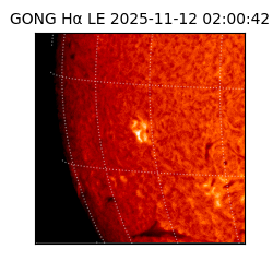 gong - 2025-11-12T02:00:42