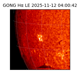 gong - 2025-11-12T04:00:42
