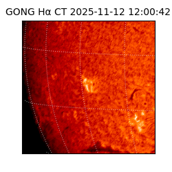 gong - 2025-11-12T12:00:42
