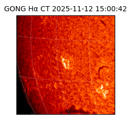 gong - 2025-11-12T15:00:42