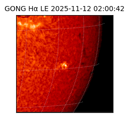 gong - 2025-11-12T02:00:42