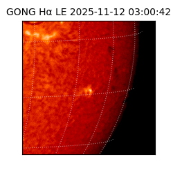 gong - 2025-11-12T03:00:42