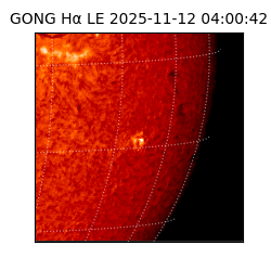 gong - 2025-11-12T04:00:42