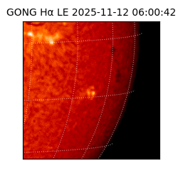 gong - 2025-11-12T06:00:42