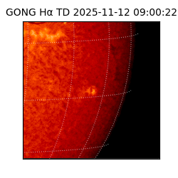 gong - 2025-11-12T09:00:22