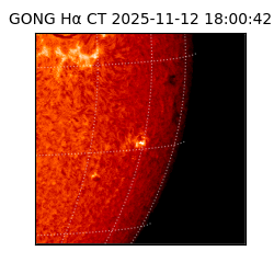 gong - 2025-11-12T18:00:42