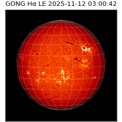 gong - 2025-11-12T03:00:42