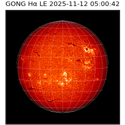 gong - 2025-11-12T05:00:42