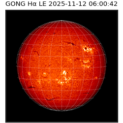 gong - 2025-11-12T06:00:42