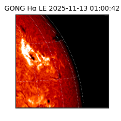 gong - 2025-11-13T01:00:42