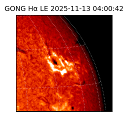 gong - 2025-11-13T04:00:42