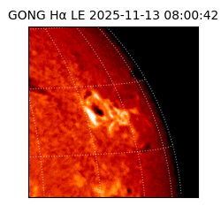 gong - 2025-11-13T08:00:42