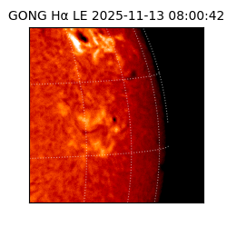 gong - 2025-11-13T08:00:42