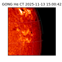 gong - 2025-11-13T15:00:42
