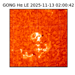 gong - 2025-11-13T02:00:42