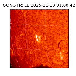 gong - 2025-11-13T01:00:42