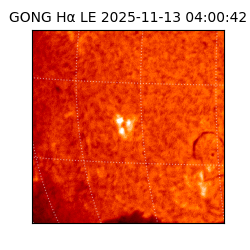 gong - 2025-11-13T04:00:42