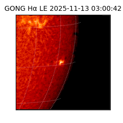 gong - 2025-11-13T03:00:42