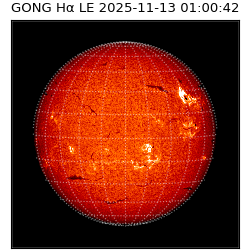 gong - 2025-11-13T01:00:42