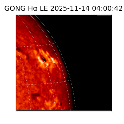 gong - 2025-11-14T04:00:42