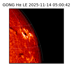 gong - 2025-11-14T05:00:42