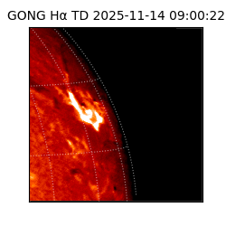 gong - 2025-11-14T09:00:22