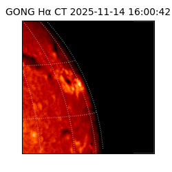 gong - 2025-11-14T16:00:42