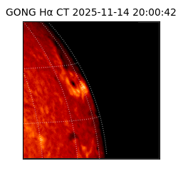 gong - 2025-11-14T20:00:42
