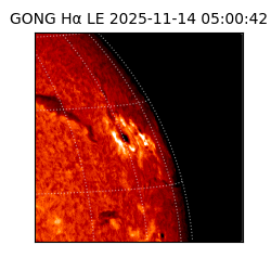 gong - 2025-11-14T05:00:42