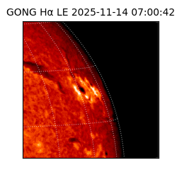 gong - 2025-11-14T07:00:42