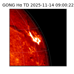 gong - 2025-11-14T09:00:22