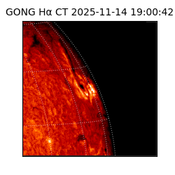 gong - 2025-11-14T19:00:42