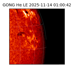 gong - 2025-11-14T01:00:42