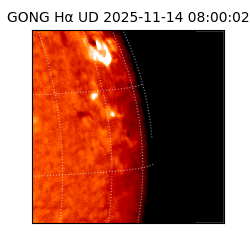 gong - 2025-11-14T08:00:02