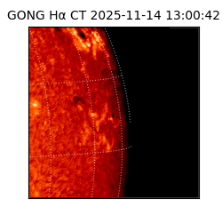 gong - 2025-11-14T13:00:42