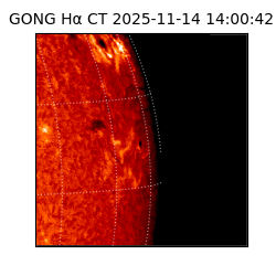 gong - 2025-11-14T14:00:42