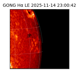 gong - 2025-11-14T23:00:42