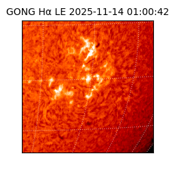 gong - 2025-11-14T01:00:42