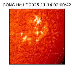 gong - 2025-11-14T02:00:42