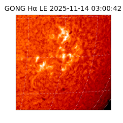 gong - 2025-11-14T03:00:42