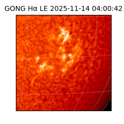 gong - 2025-11-14T04:00:42