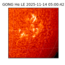 gong - 2025-11-14T05:00:42