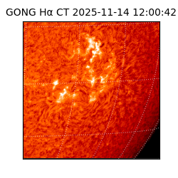 gong - 2025-11-14T12:00:42