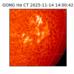 gong - 2025-11-14T14:00:42