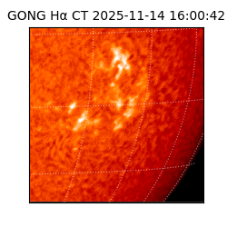 gong - 2025-11-14T16:00:42
