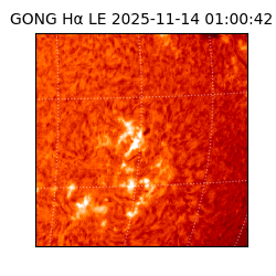 gong - 2025-11-14T01:00:42