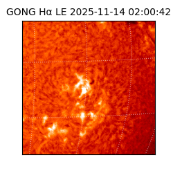 gong - 2025-11-14T02:00:42