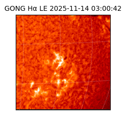 gong - 2025-11-14T03:00:42