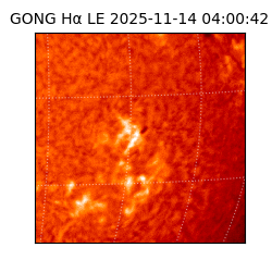 gong - 2025-11-14T04:00:42